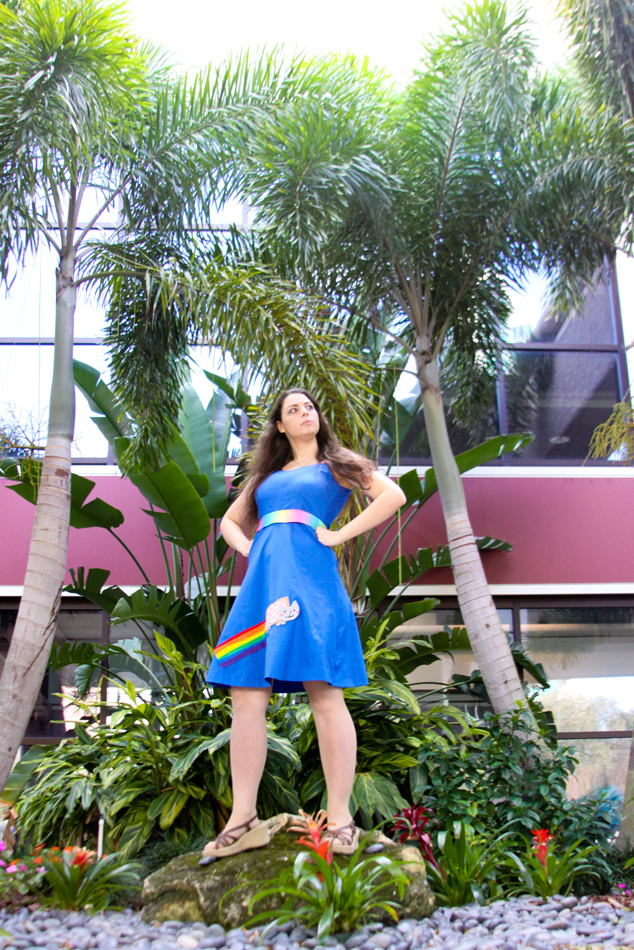 Nyan Cat inspired Cosplay Dress