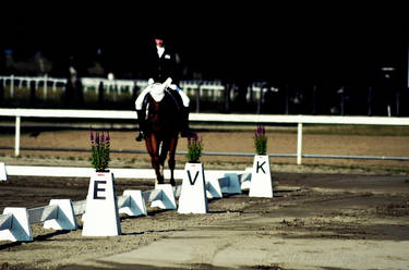 Dressage arena