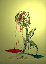 Bleeding Rose