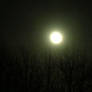 Monster Moon