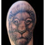 Lion portrait