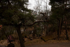 Seen From the Terraced House_1