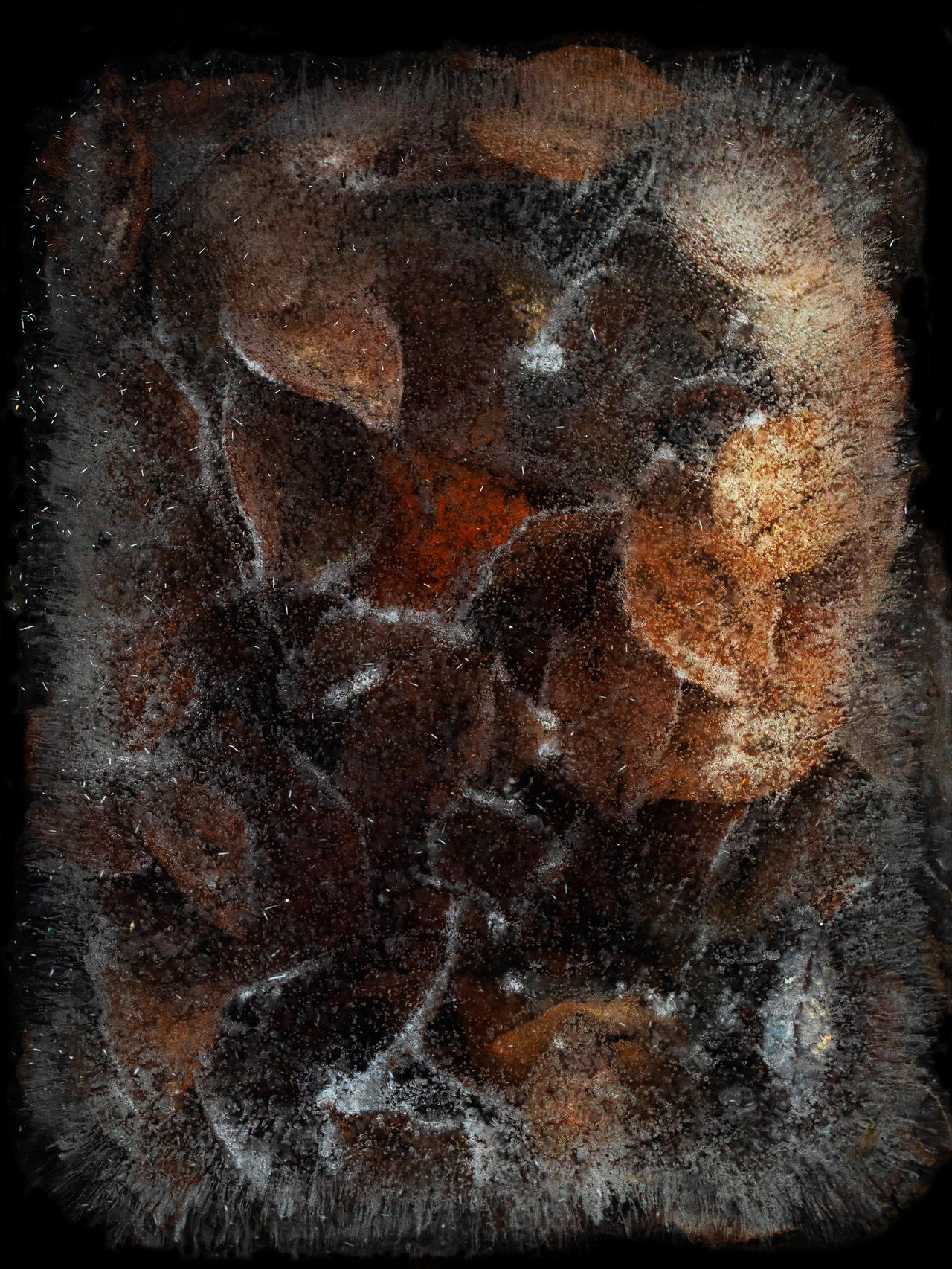 Iced Leaves by AneurysmGuy on DeviantArt