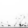 Ballet des Poils Pubiens