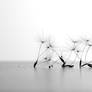 Test 2