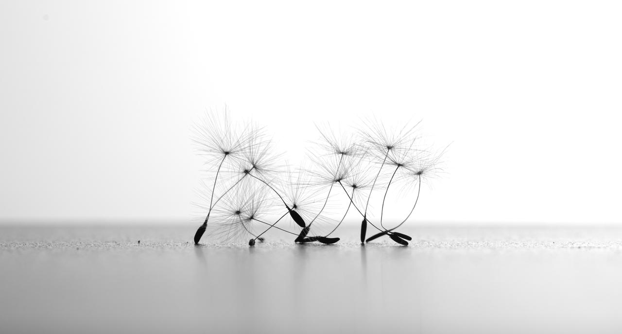 Test 2