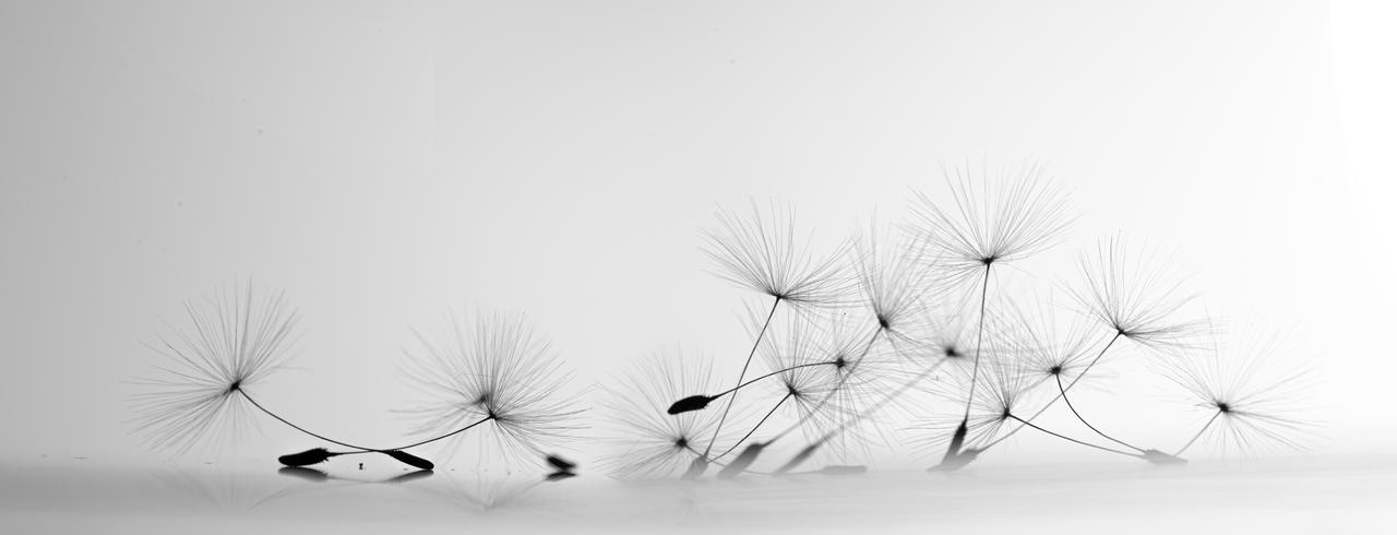 Test 1