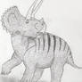 Yearbook Triceratops