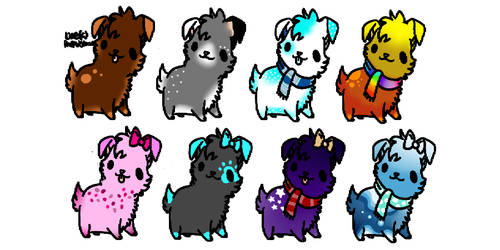 Puppy adoptables