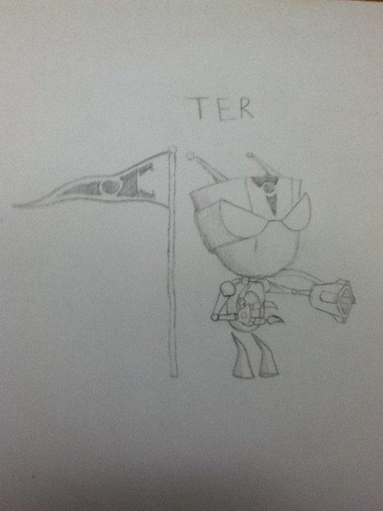 T.E.R.