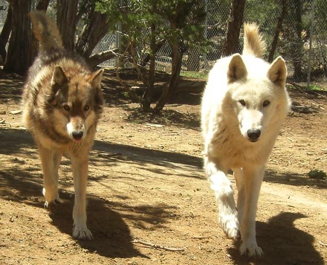 Lani and Nakota