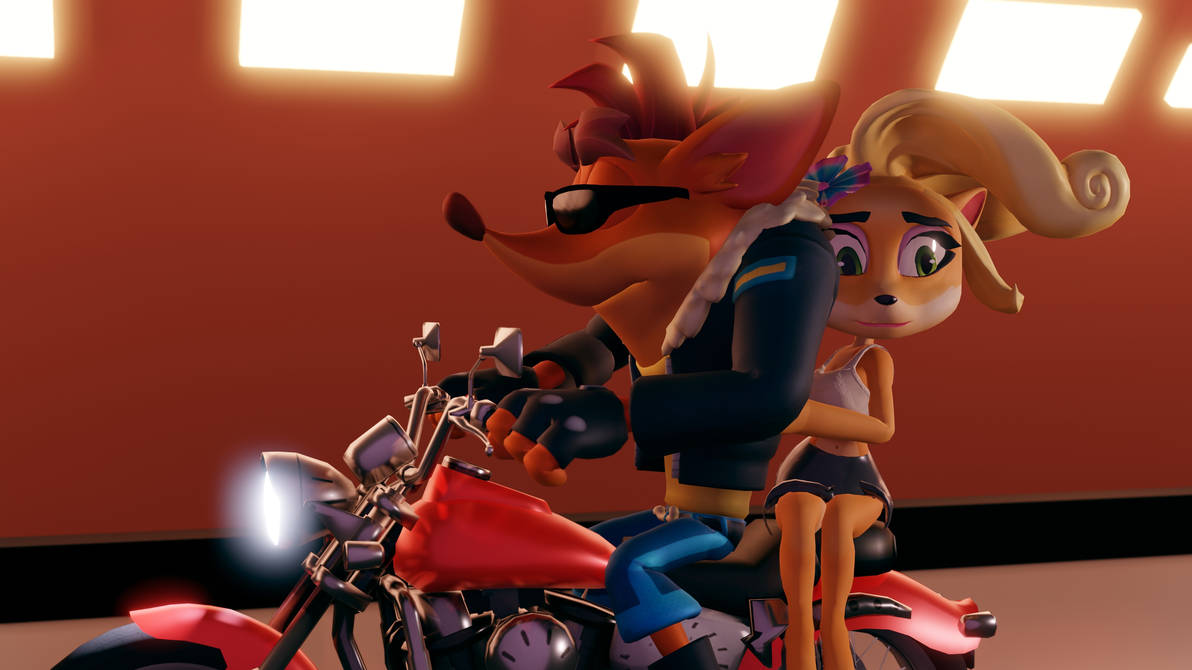 Bicycle Rider Back Coco Crash and Coco's Riding Motorcycle by DawidGolaszewski on DeviantArt