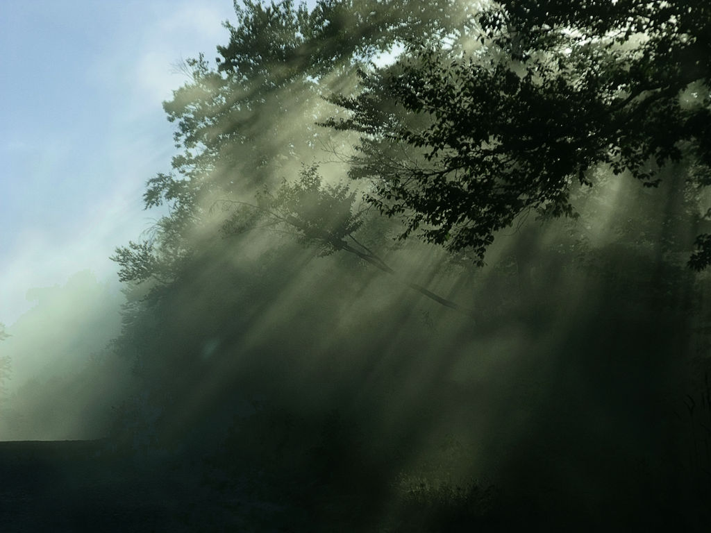 Light From Above Example Light From Above by Vifnis on DeviantArt