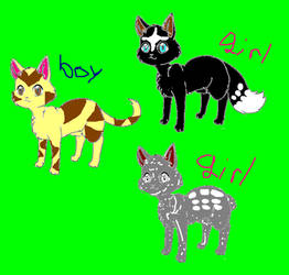 Warrior Cat Adoptables FREE