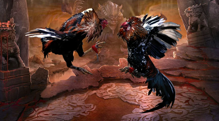 akun cockfight online