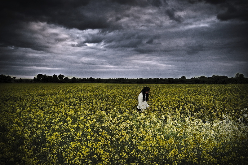 Rapeseed me all over again...