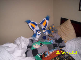 My Fursuit at Anthrocon