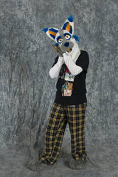 The Second Fancy Fursuit Pic