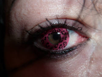 l'oeil leopard rose