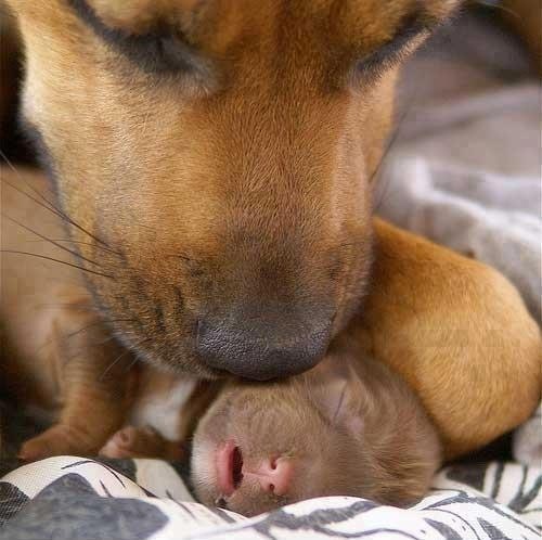 Mom and baby