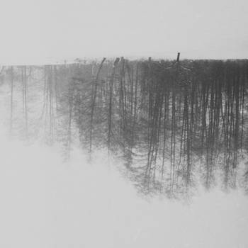 untitled. by EternalFallacy