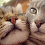 smiles