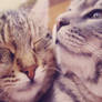 me is you and you is me