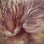 me n you