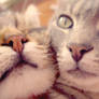 kisses