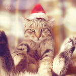 X mas Lyingdays by blondepassion