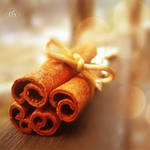 cinnamon by blondepassion