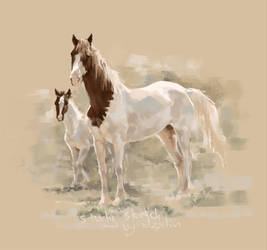 Study Horse - 2