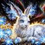 Bunny and the cosmos