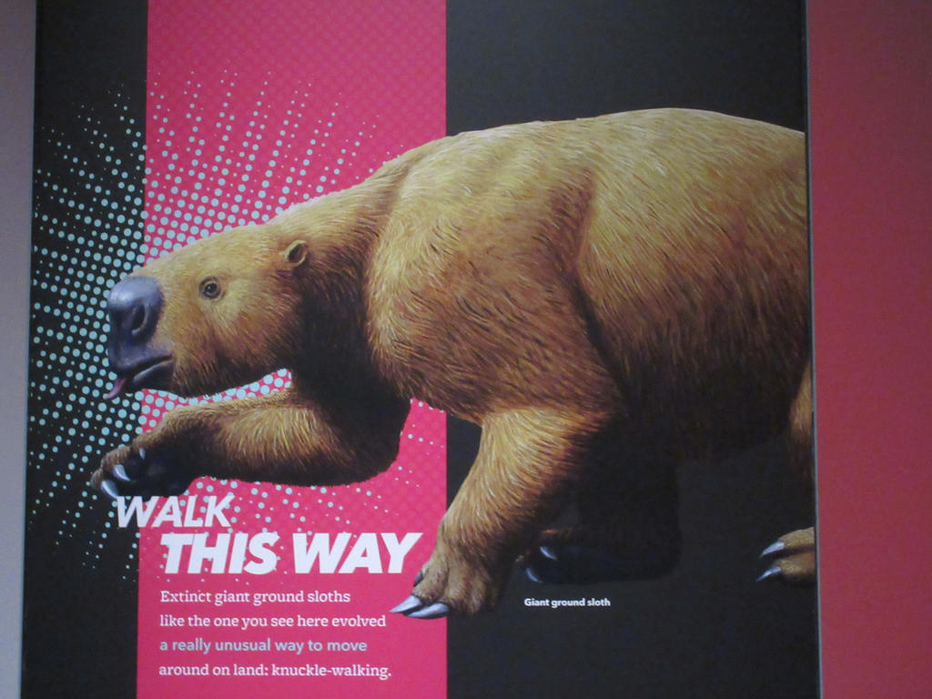 Giant Ground Sloth Sign by reneg661 on DeviantArt
