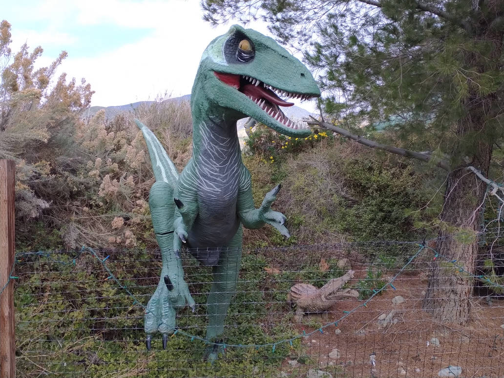 Torquay Raptor Statue Velociraptor Statue (2023) #1 by reneg661 on DeviantArt