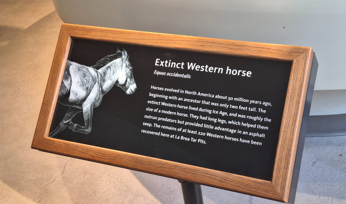Extinct Western Horse Sign by reneg661 on DeviantArt