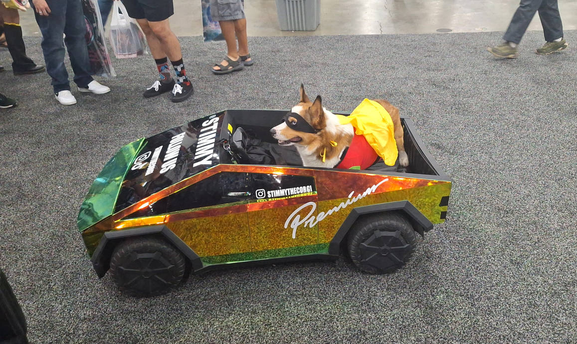 Robin Dog Robin (Dog) Riding A Car by reneg661 on DeviantArt