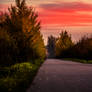 Autumn street