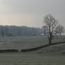 Frosty Egglestone 1