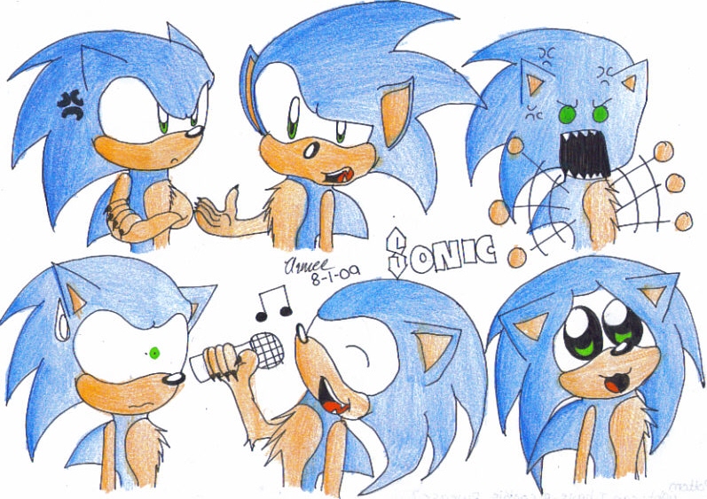 🌀•Sonic the Hedgehog•🌀  Sonic the hedgehog, Sonic, Anime expressions