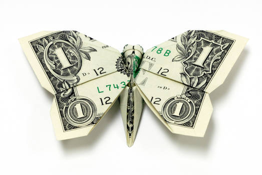 New One Dollar Butterfly