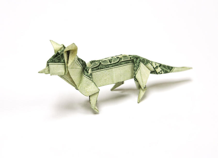 New Dollar Fox by orudorumagi11