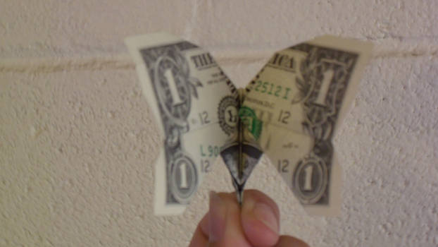 New Dollar Butterfly with a surprise