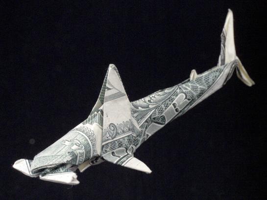 One Dollar Hammer-head Shark