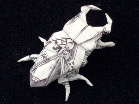 One Dollar Stag Beetle