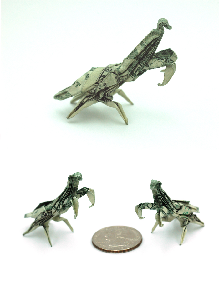One Dollar Praying Mantis by orudorumagi11