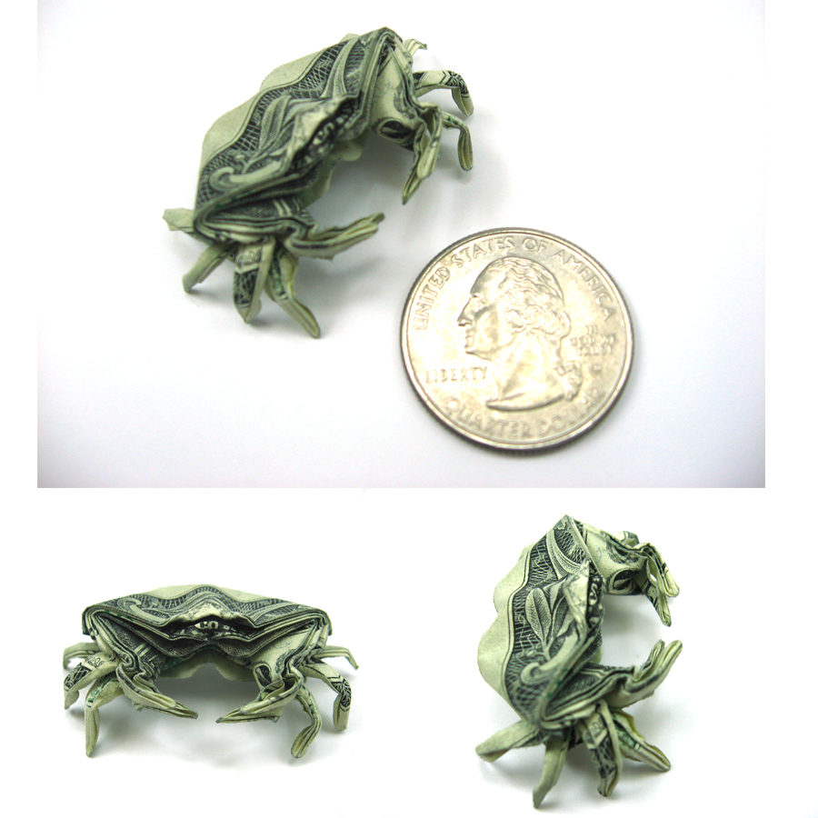 Dollar Crab by orudorumagi11