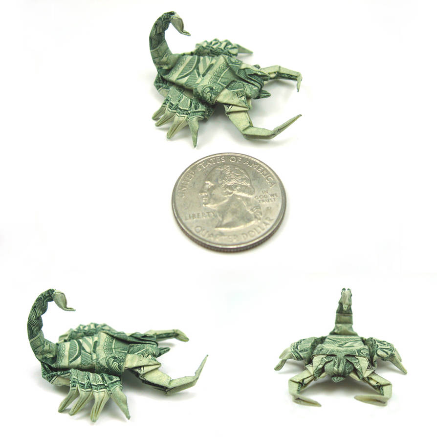 New pics. Dollar Scorpion by orudorumagi11