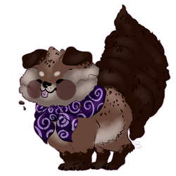 Choco Cupcake Shibe