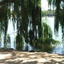 ..::trees over water 3::..